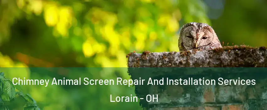  Chimney Animal Screen Repair And Installation Services Lorain - OH