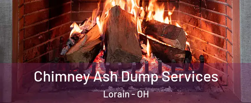  Chimney Ash Dump Services Lorain - OH