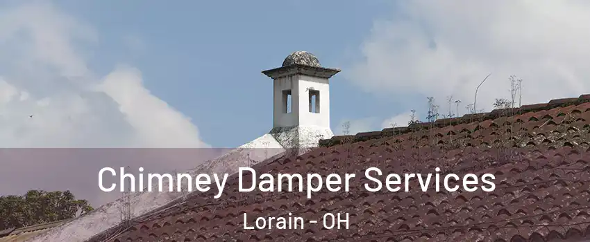  Chimney Damper Services Lorain - OH