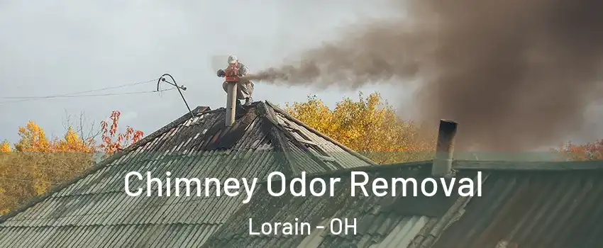  Chimney Odor Removal Lorain - OH