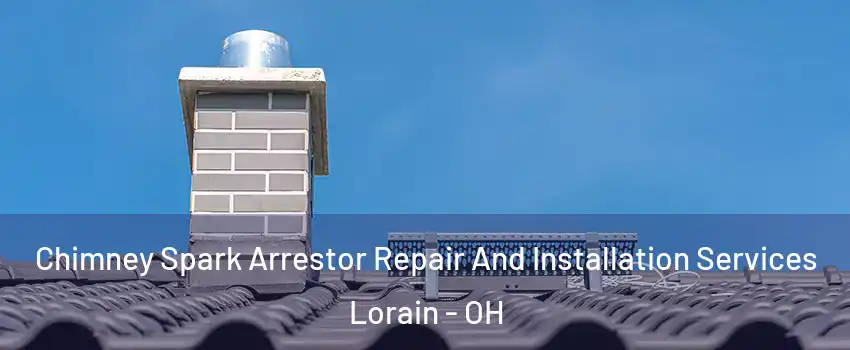  Chimney Spark Arrestor Repair And Installation Services Lorain - OH