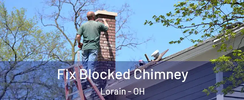  Fix Blocked Chimney Lorain - OH