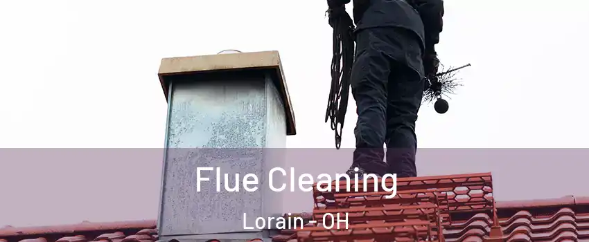  Flue Cleaning Lorain - OH