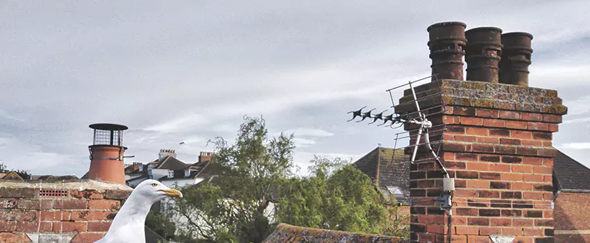 Chimney Cleaning And Restoration in Lorain, Ohio