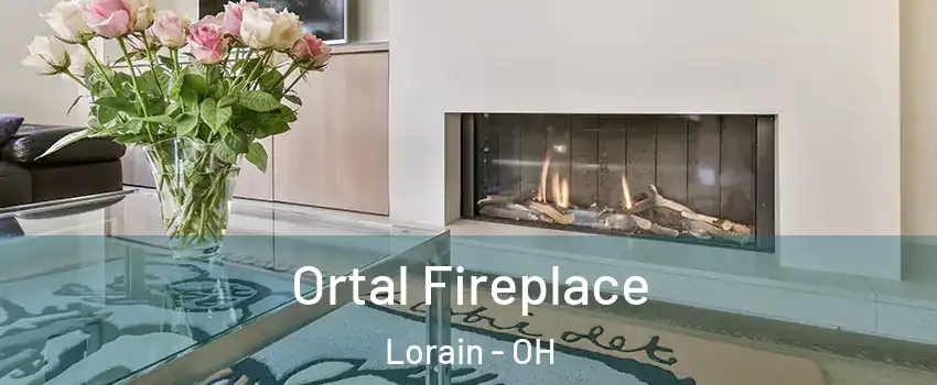  Ortal Fireplace Lorain - OH